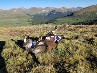 Mount Bierstadt (16).jpg